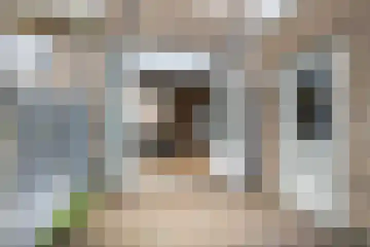 Siriusstraat 35 Haarlem thumbnail 19