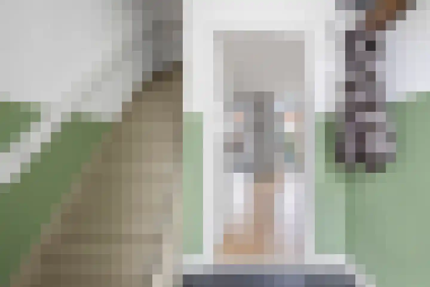 Siriusstraat 35 Haarlem thumbnail 23