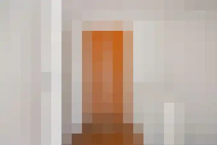 Siriusstraat 4 Dongen thumbnail 20