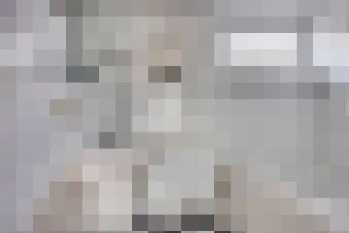 Siriusstraat 4 Dongen thumbnail 23