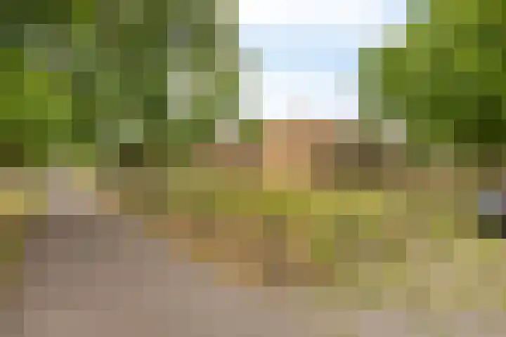 Siriusstraat 4 Dongen thumbnail 30