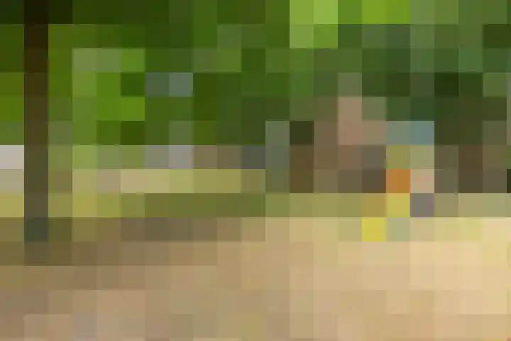 Siriusstraat 4 Dongen thumbnail 31