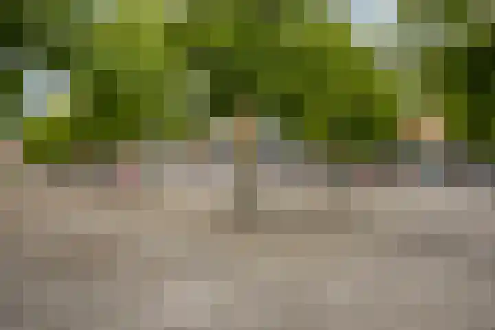 Siriusstraat 4 Dongen thumbnail 32