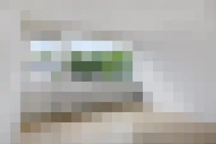 Siriusstraat 4 Dongen thumbnail 4