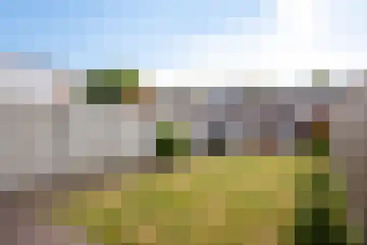 Siriusstraat 4 Dongen thumbnail 6