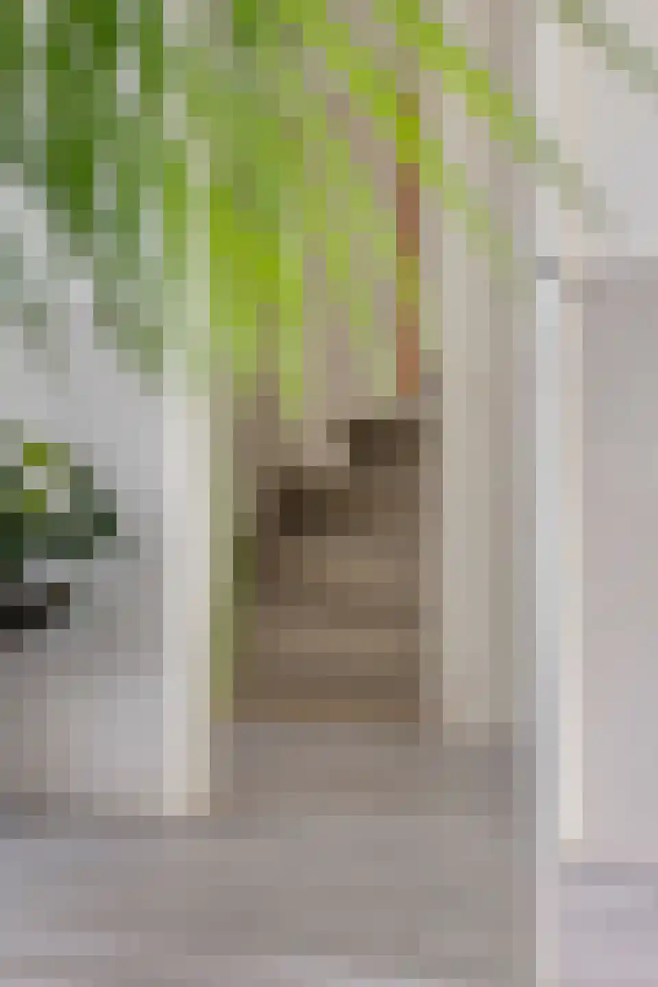 Siriusstraat 5 Groningen thumbnail 16