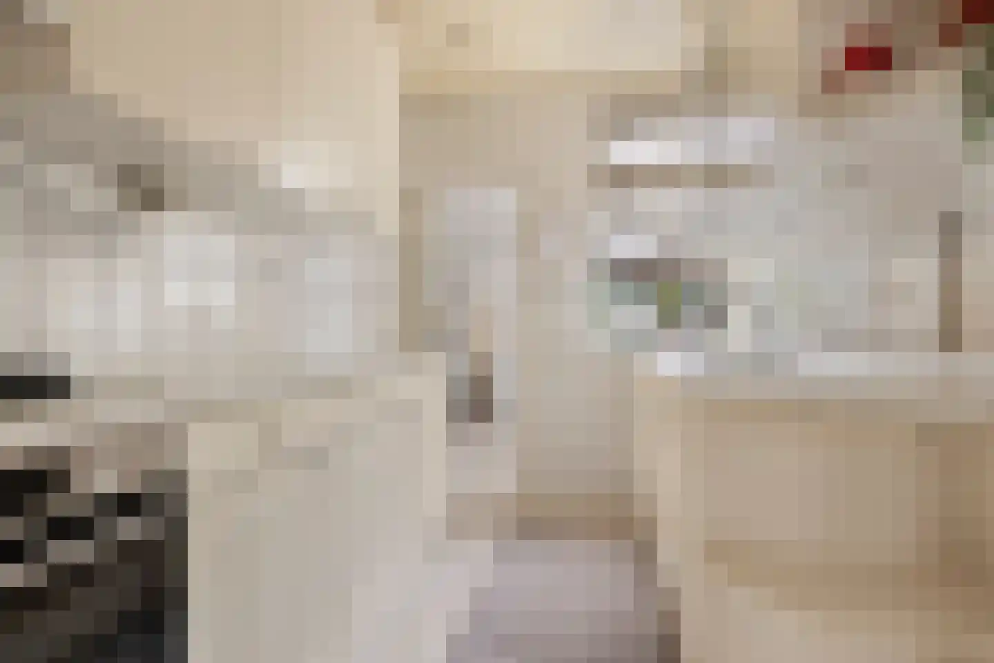 Siriusstraat 5 Groningen thumbnail 17