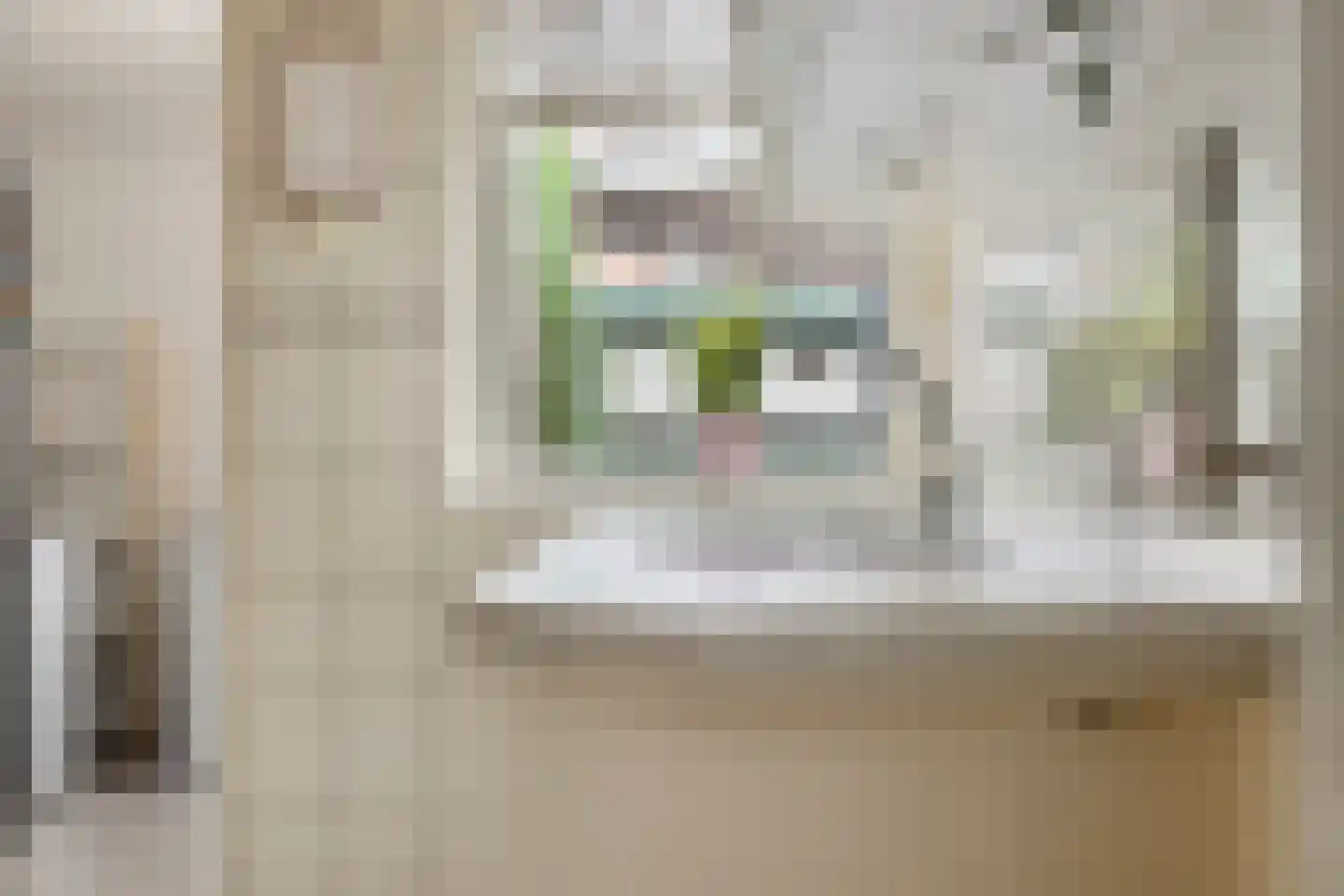 Siriusstraat 5 Groningen thumbnail 19