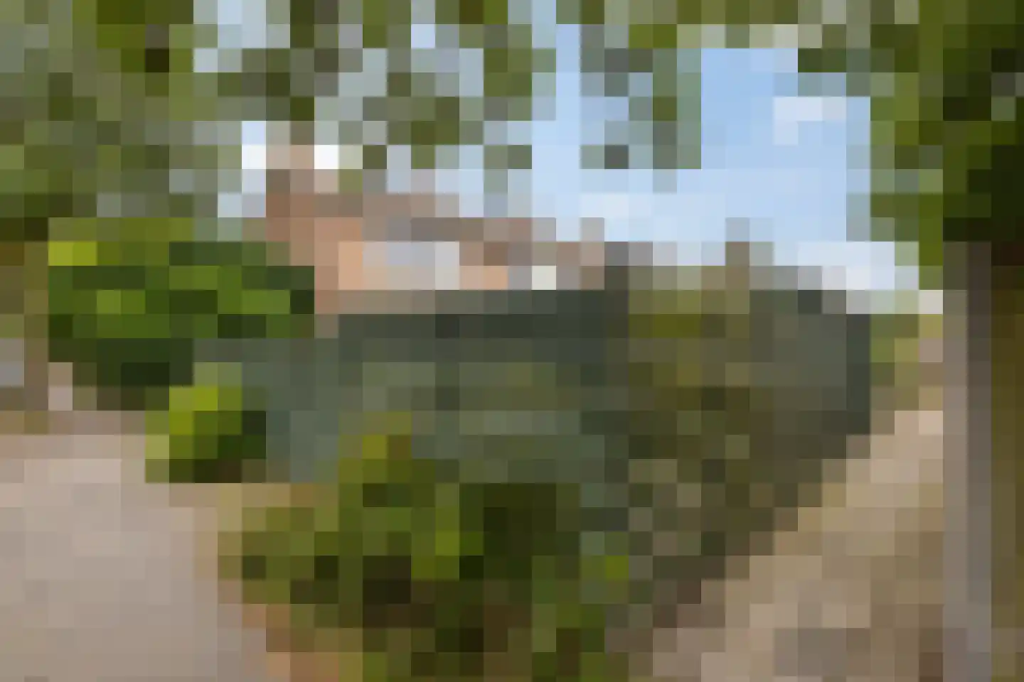 Siriusstraat 5 Groningen thumbnail 36