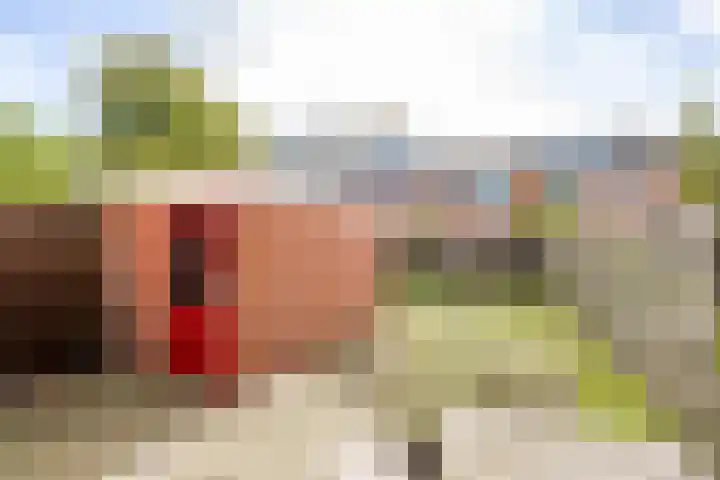 Siriusstraat 58 Groningen thumbnail 15