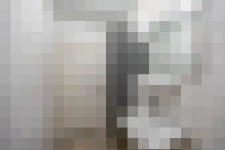 Siriusstraat 58 Groningen thumbnail 36