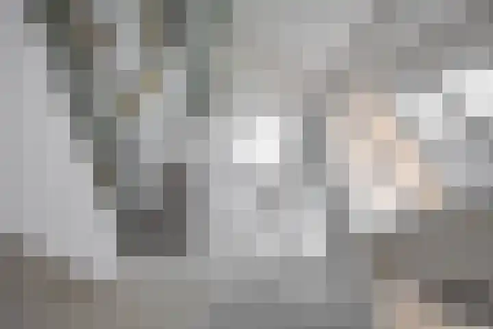 Siriusstraat 58 Groningen thumbnail 38