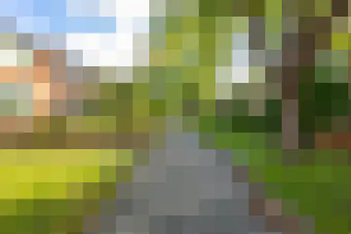 Siriusstraat 58 Groningen thumbnail 44