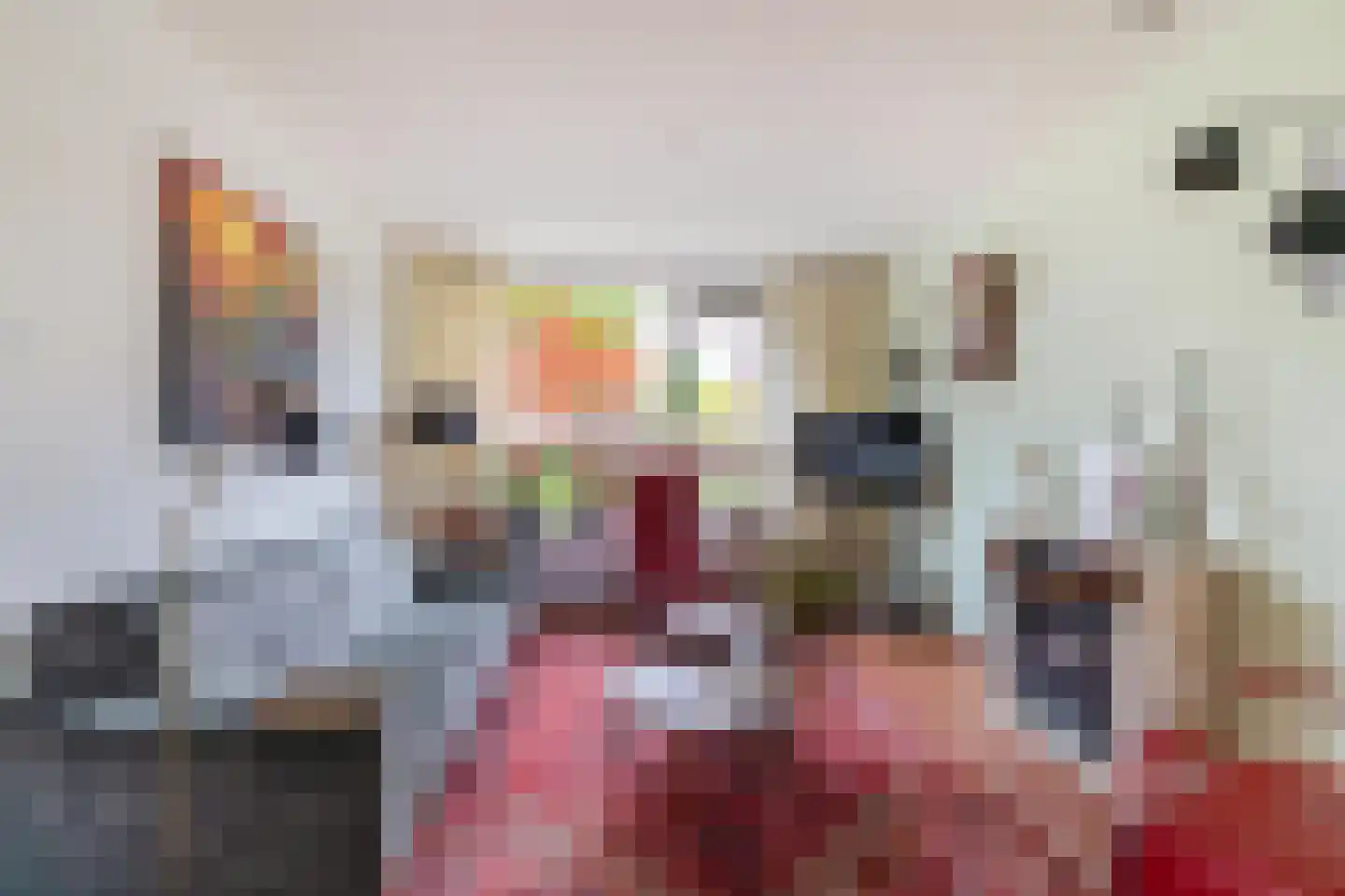 Siriusstraat 67 Groningen thumbnail 15