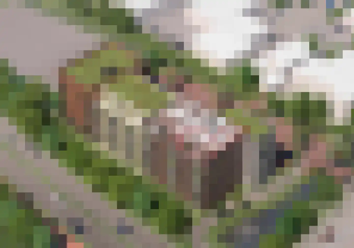 Siriusstraat 69 Alphen aan den Rijn thumbnail 4