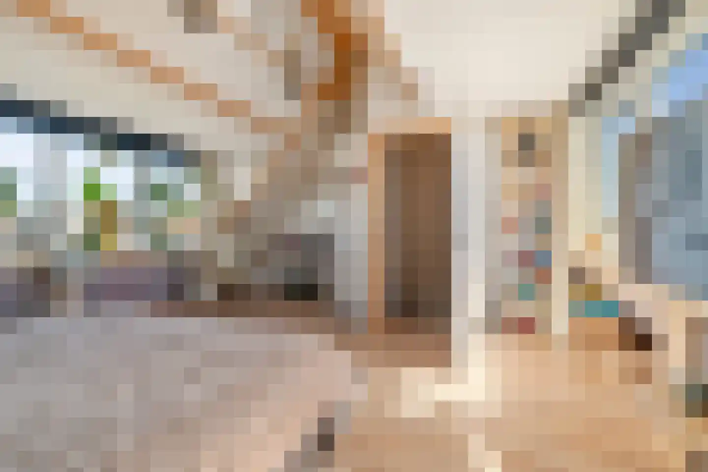 Siriusstraat 8 IJmuiden thumbnail 39