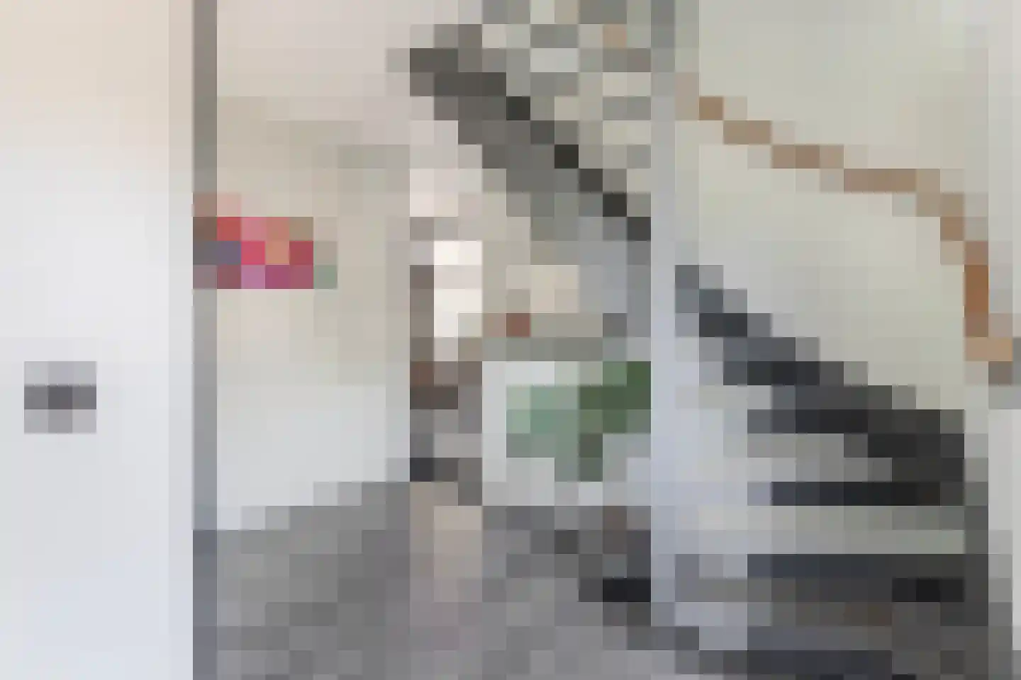 Siriusstraat 9 Emmeloord thumbnail 12