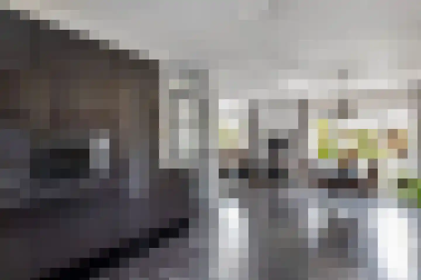Siriusstraat 9 Emmeloord thumbnail 17