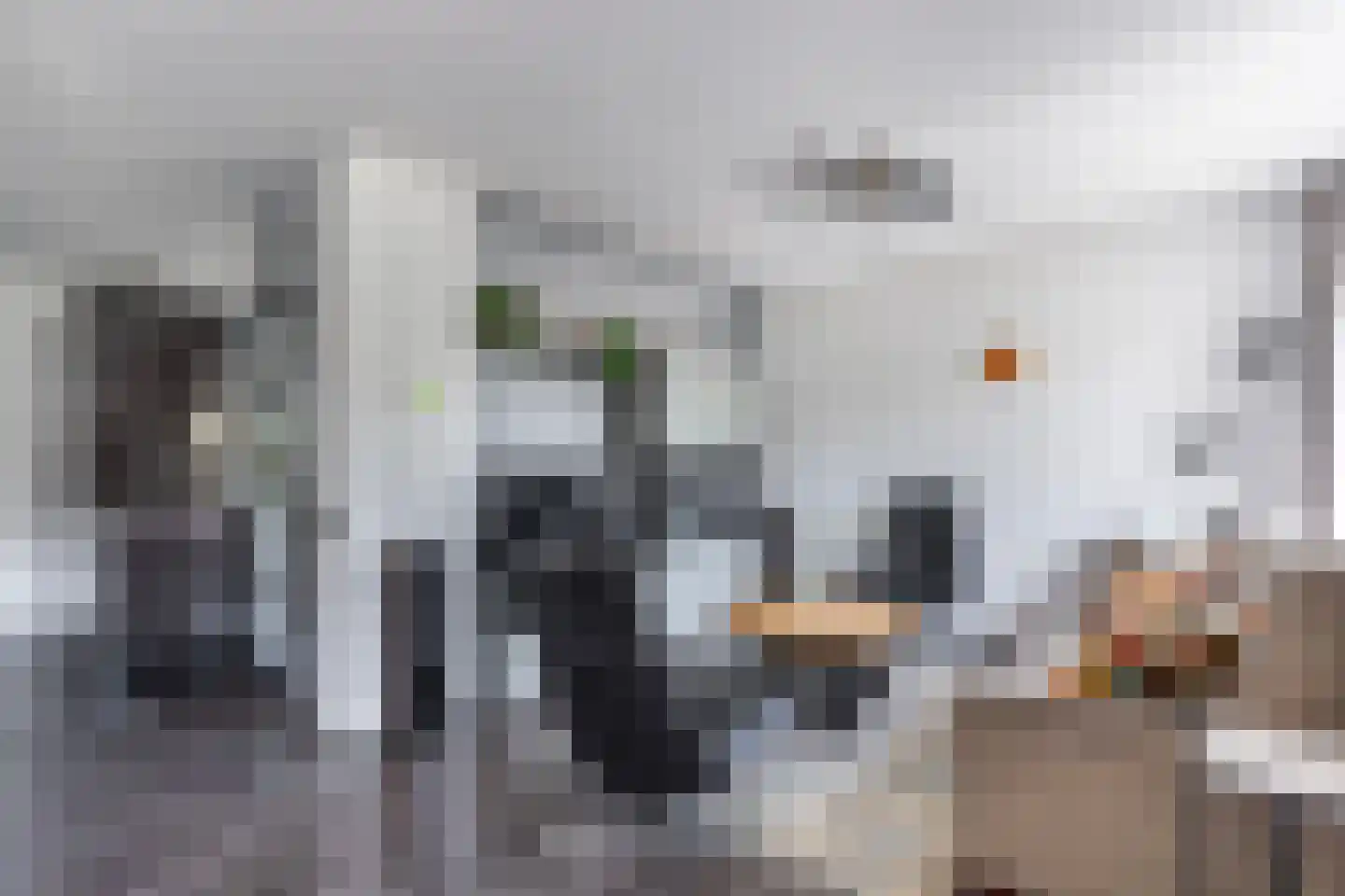 Siriusstraat 9 Emmeloord thumbnail 19