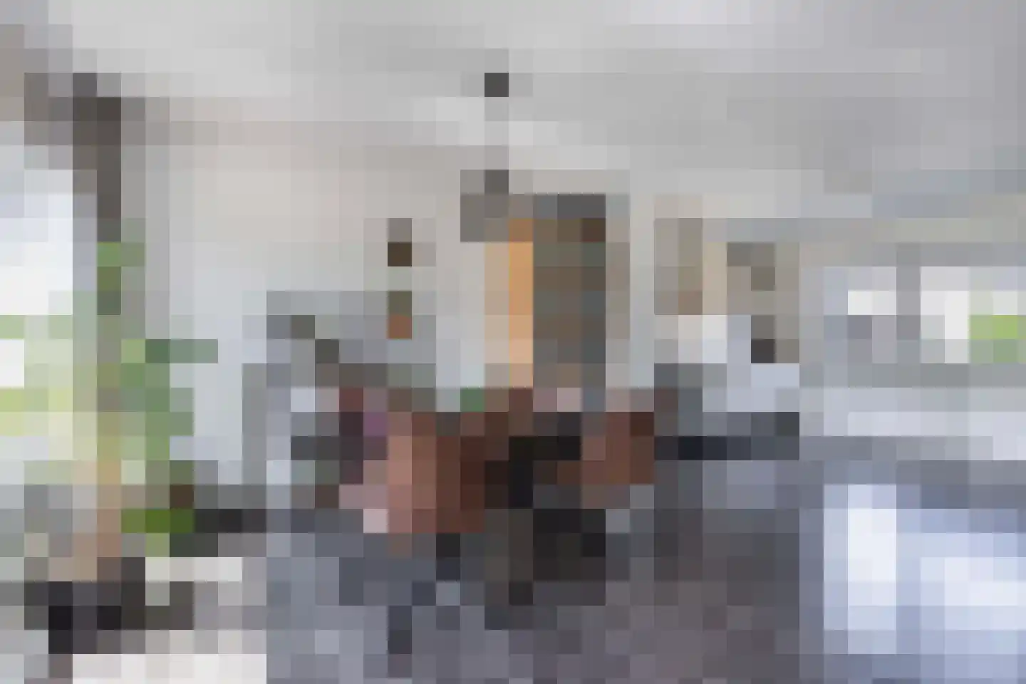 Siriusstraat 9 Emmeloord thumbnail 23
