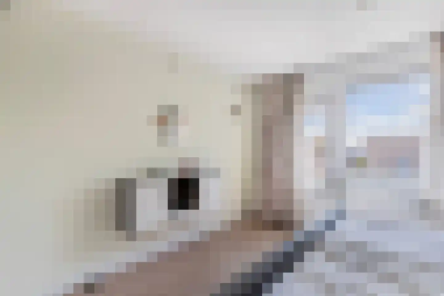 Siriusstraat 9 Emmeloord thumbnail 29