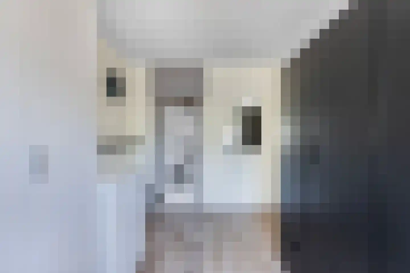 Siriusstraat 9 Emmeloord thumbnail 33