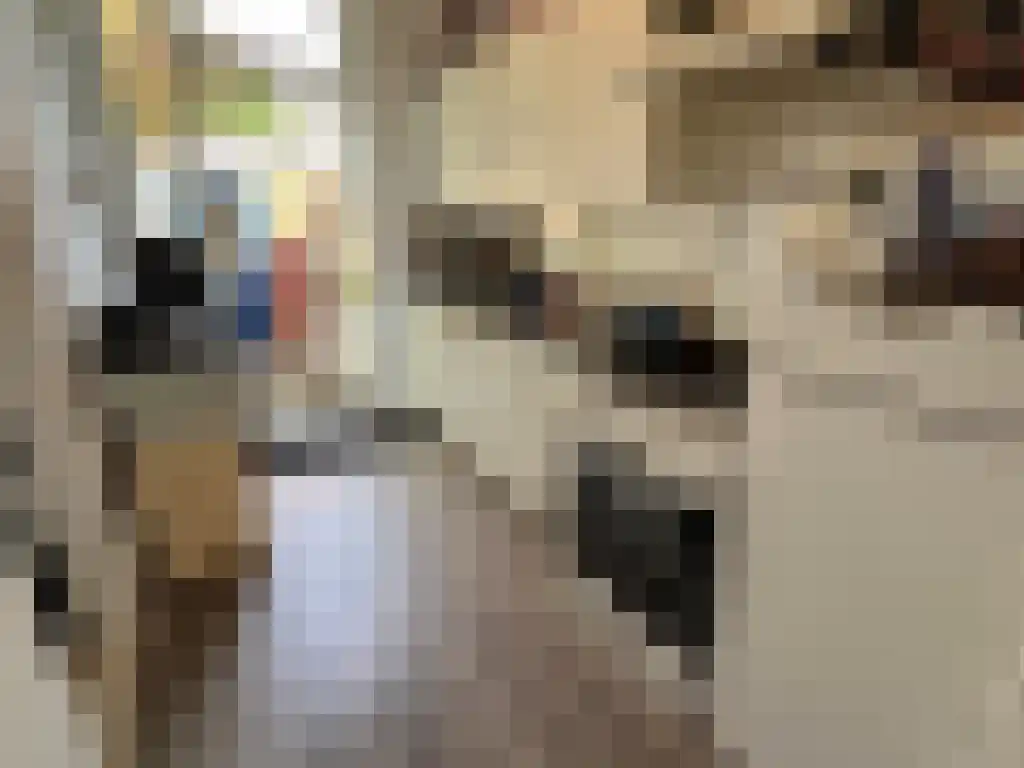 Siriusstraat Groningen thumbnail 4