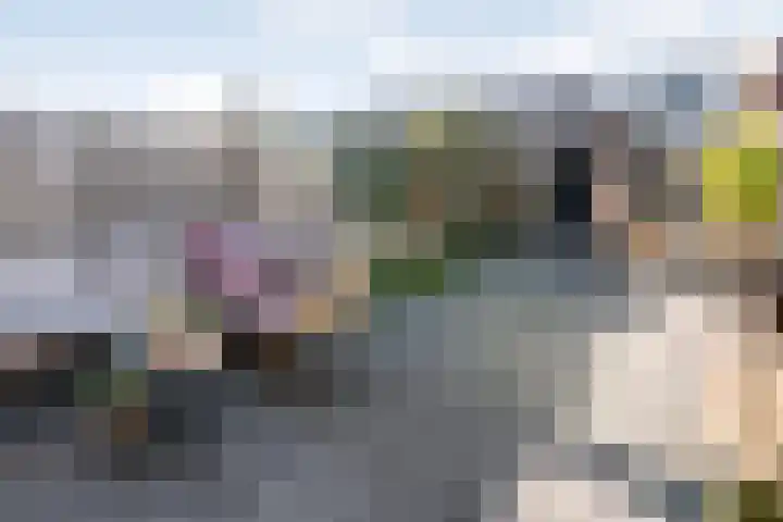 Siriusweg 18 Kampen thumbnail 48