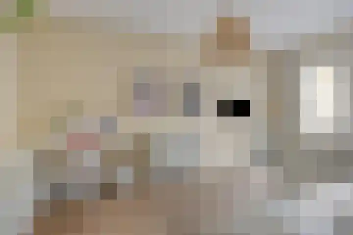 Siriusweg 20 Kampen thumbnail 18