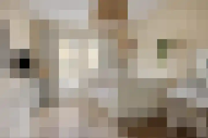 Siriusweg 20 Kampen thumbnail 19