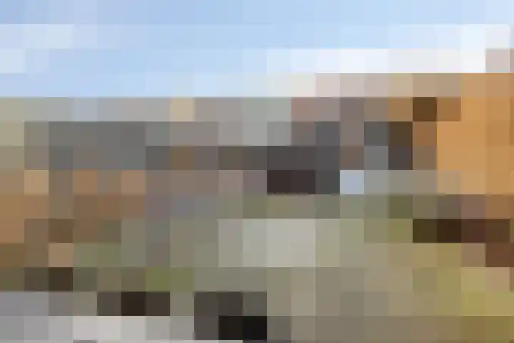 Siriusweg 20 Kampen thumbnail 34