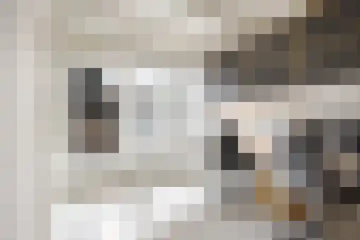 Sirtemalaan 35 Grave thumbnail 14