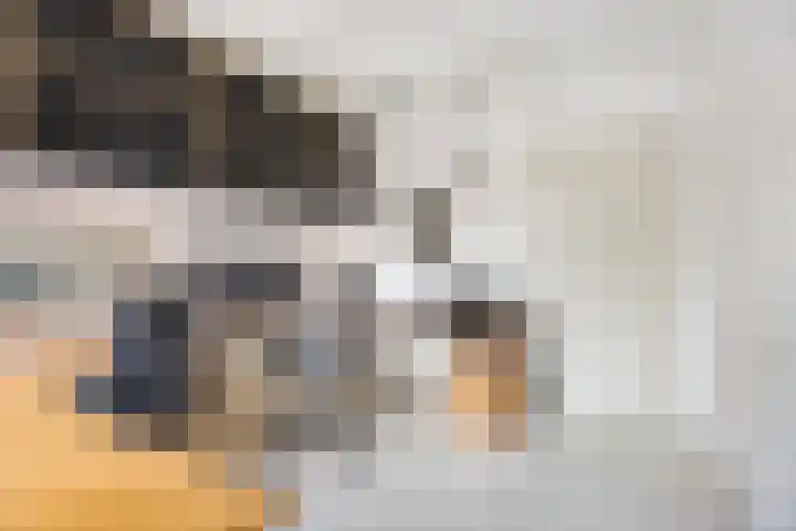 Sirtemalaan 35 Grave thumbnail 16