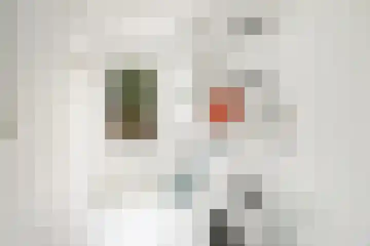 Sirtemalaan 35 Grave thumbnail 17