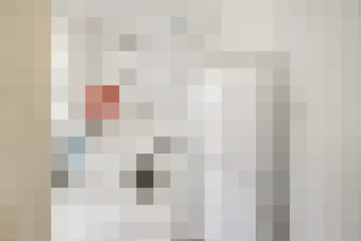 Sirtemalaan 35 Grave thumbnail 19