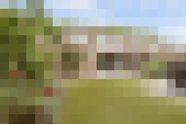 Sirtemalaan 35 Grave thumbnail 45