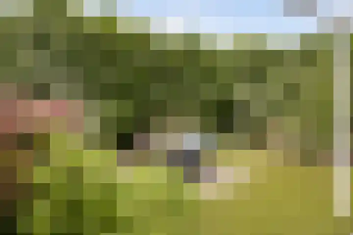 Sirtemalaan 35 Grave thumbnail 51