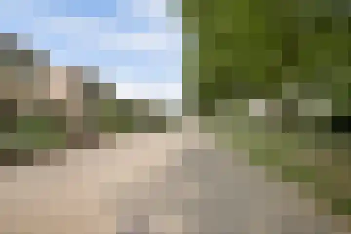 Sirtemalaan 35 Grave thumbnail 54