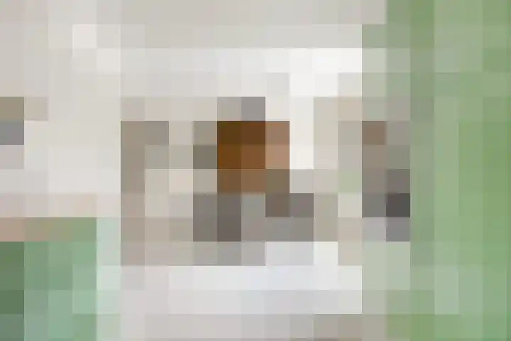 Sirtemalaan 35 Grave thumbnail 7