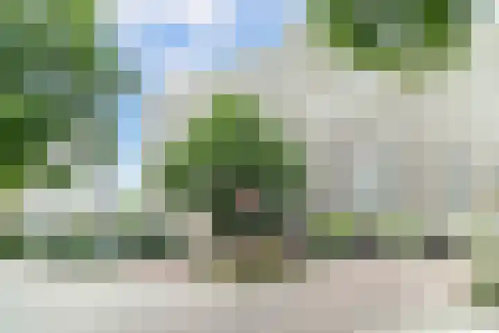 Sirtemastraat 134 Den Haag