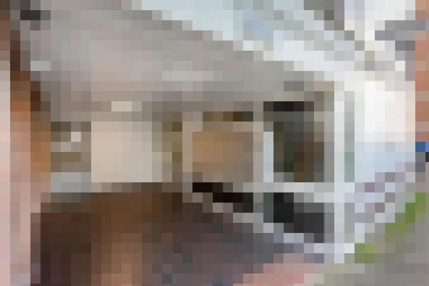 Sirtemastraat 251 Den Haag thumbnail 6
