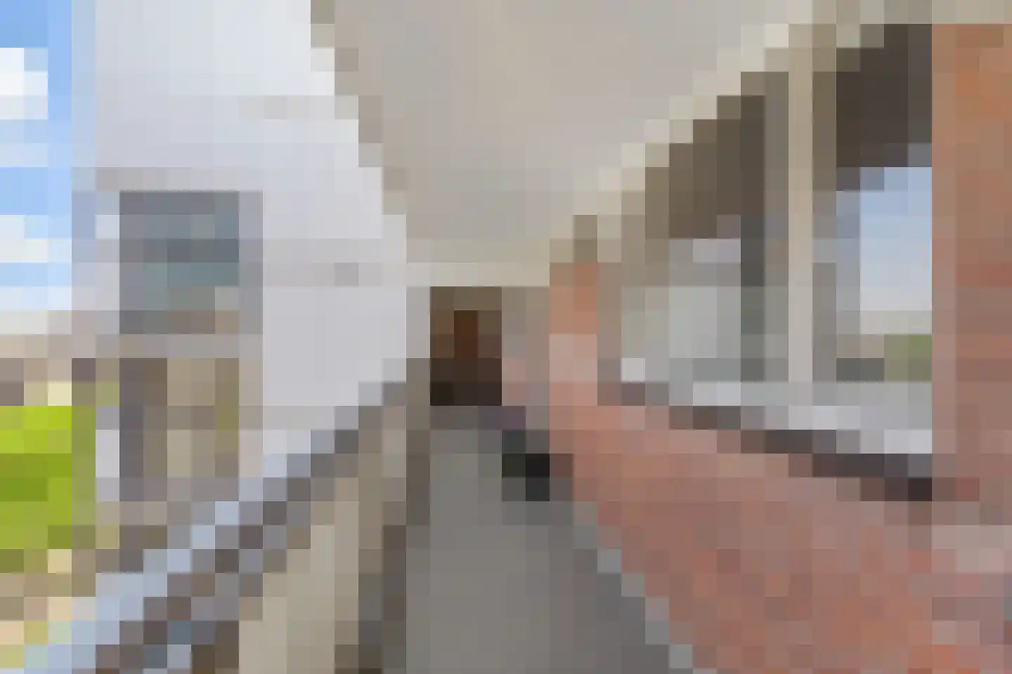 Sirtemastraat 251 Den Haag thumbnail 7