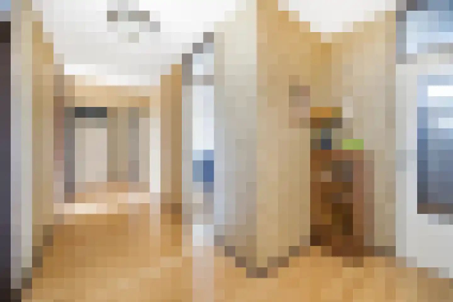 Sirtemastraat 290 Den Haag thumbnail 7