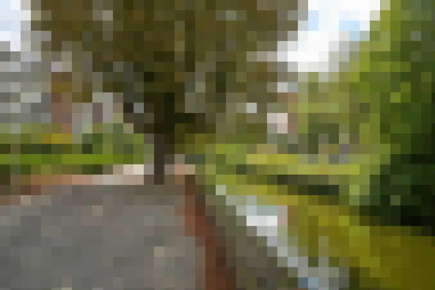 Sirtemastraat 365 Den Haag thumbnail 37
