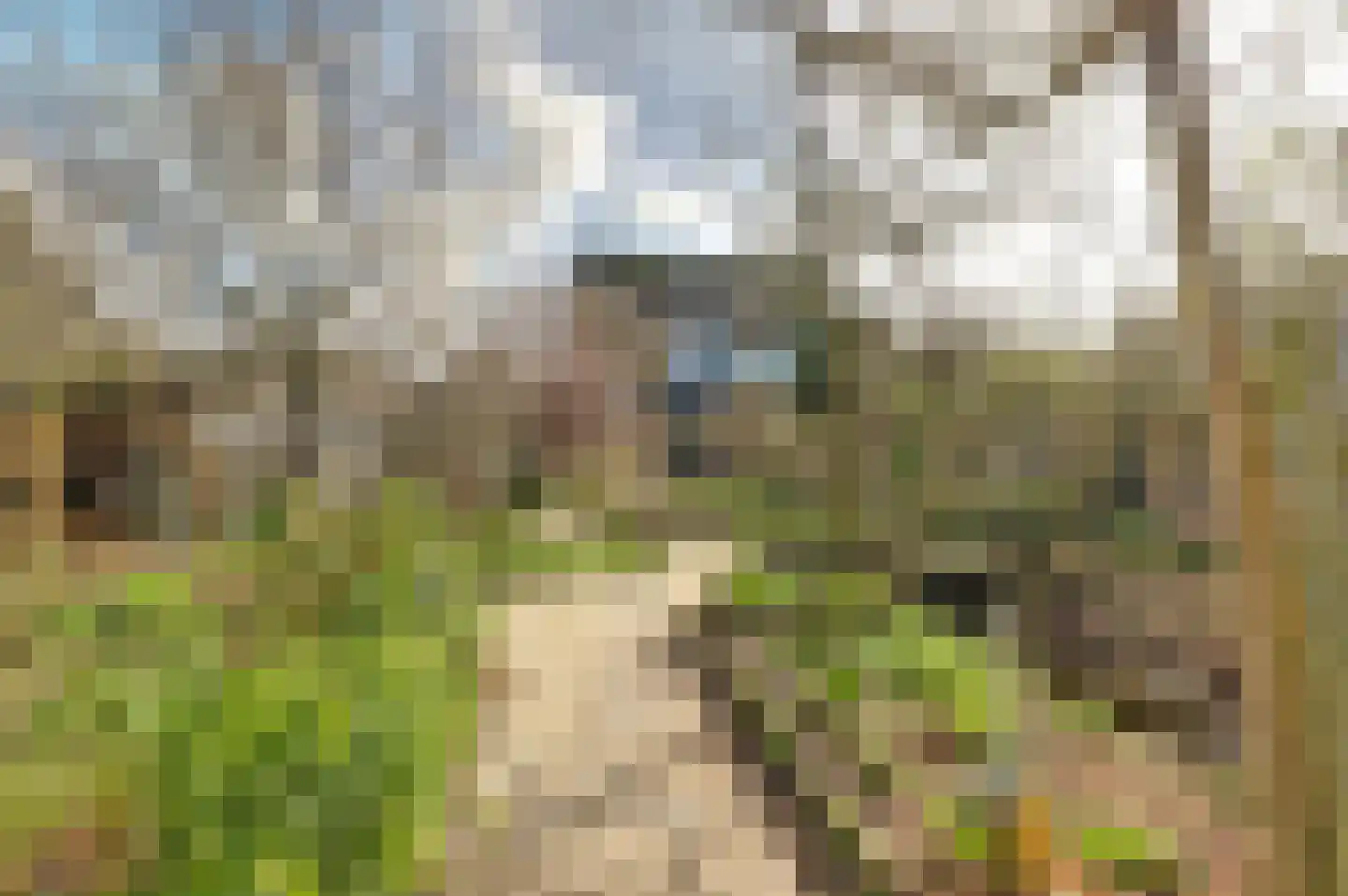 Sirtemawei 1 Ingelum thumbnail 31