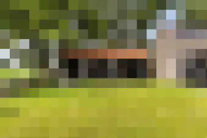Sirtemawei 1 Ingelum thumbnail 32