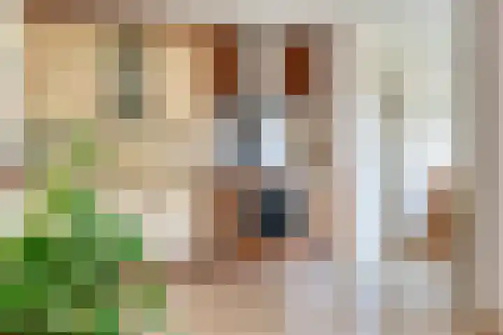 Sirtemawei 1 Ingelum thumbnail 34
