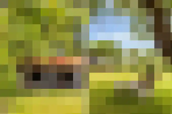 Sirtemawei 1 Ingelum thumbnail 34