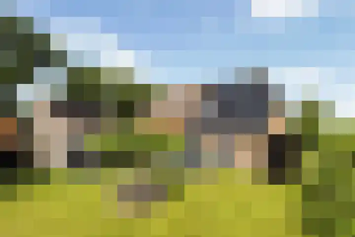 Sirtemawei 1 Ingelum thumbnail 36