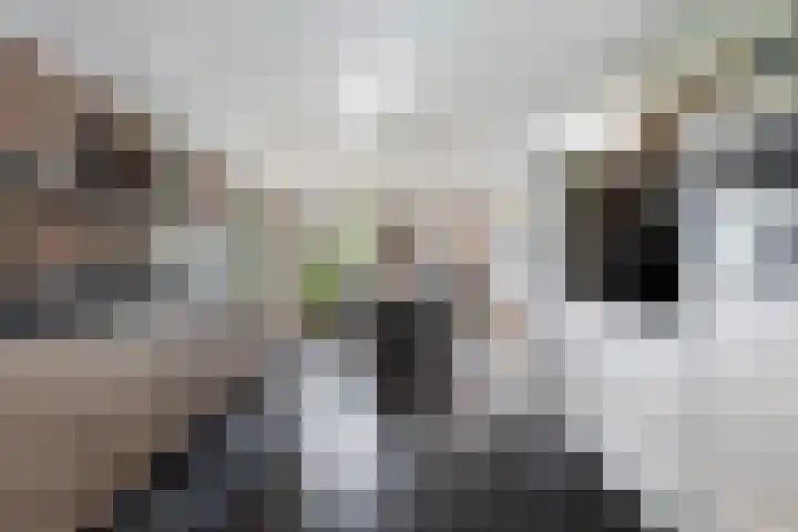Sirtemawei 1 Ingelum thumbnail 37